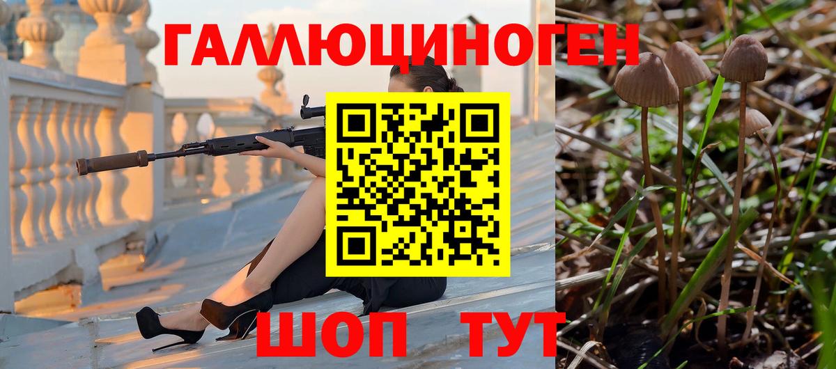 Псилоцибиновые грибы Cubensis  Вход с VPN  Муравленко 
