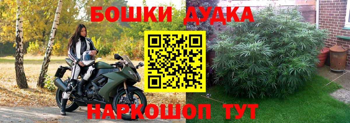 Канабис Amnesia Муравленко